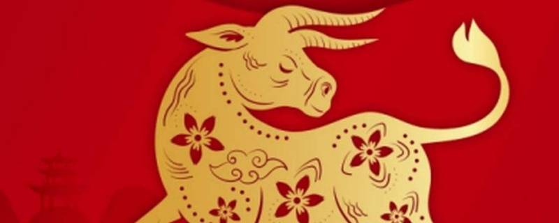 丑未年是哪一年（丑未年是哪一年属什么时候）