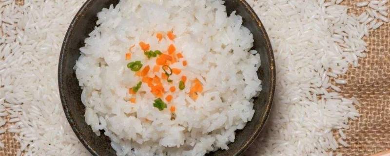 蒸饭要蒸多久 蒸箱蒸饭要蒸多久