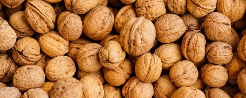 核桃磨粉要怎么才不会粘起来（把核桃磨成粉了怎么做好吃）