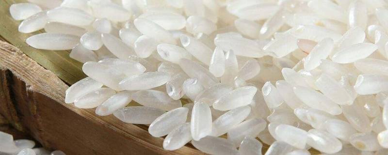 18824是什么大米 大米18824是什么意思