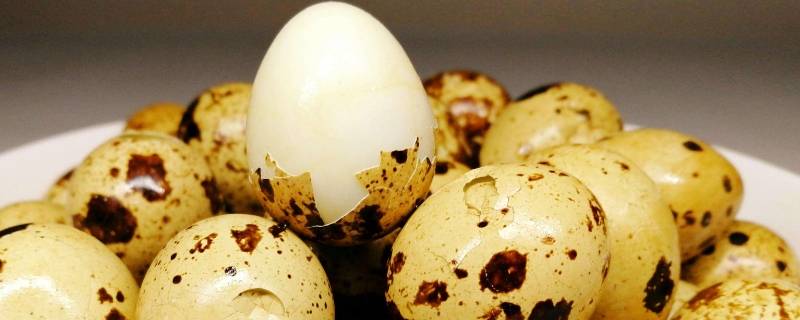 鹌鹑蛋冷水下锅还是热水（鹌鹑蛋冷水下锅还是开水下）