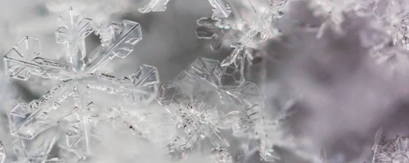 雪花有8个花瓣吗（雪花有几个花瓣?）