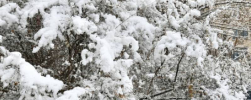 冬天让屋子变暖的法子（冬天能让屋子变暖的方法）