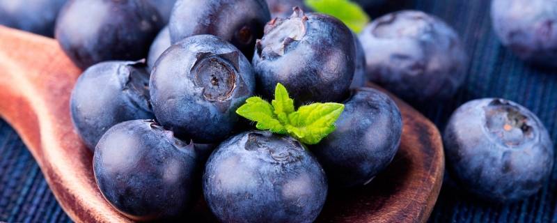 蓝莓如何清洗（冷冻蓝莓如何清洗）