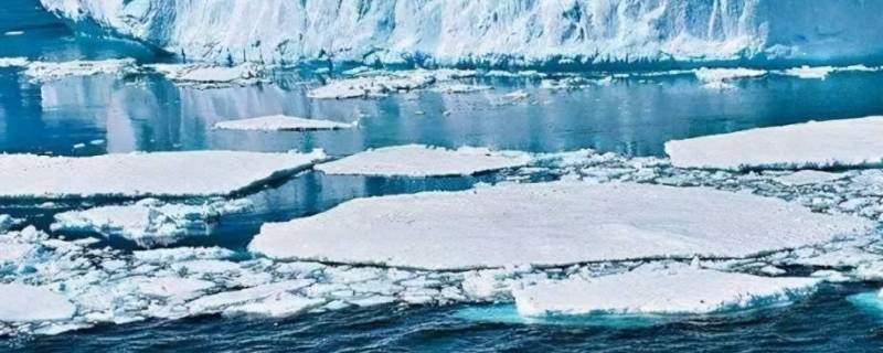 北极有陆地吗（北极有没有陆地?）