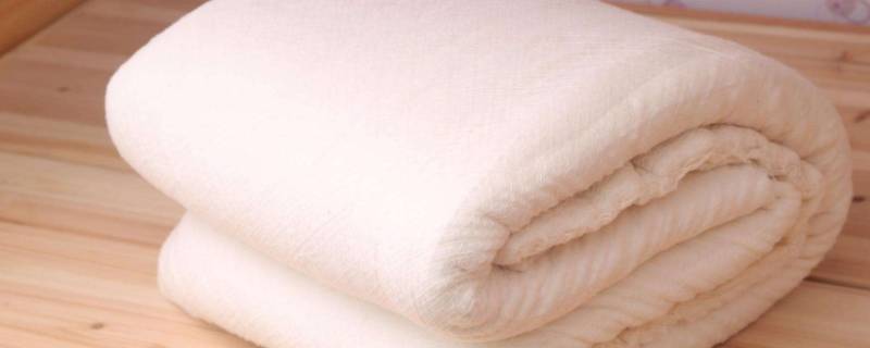 200×230被子需要几斤棉花（200×230被子需要几斤棉花冬天暖气）
