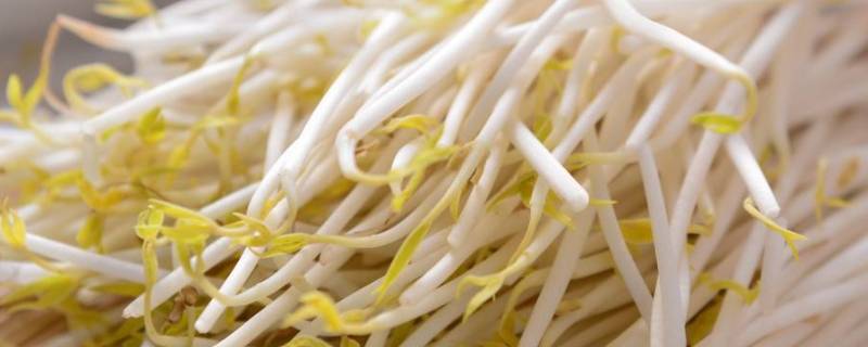 生绿豆芽为何要用热水烫一下 绿豆芽开水能烫熟吗