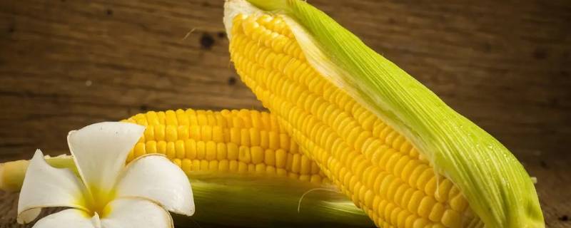 蒸玉米怎么蒸 蒸饭车蒸玉米怎么蒸