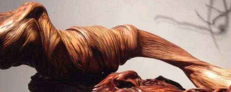 崖柏是阴木还是阳木（崖柏是阳木吗）