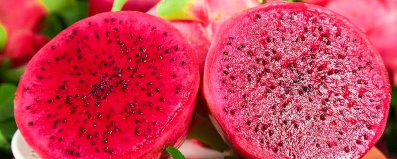 火龙果可以做什么美食 火龙果可以制作什么样的美食