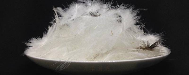 国标白鸭绒是多少 国标白鸭绒含绒量是多少