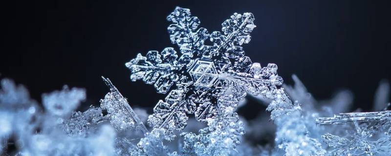 雪象征着什么人 雪有什么象征意义