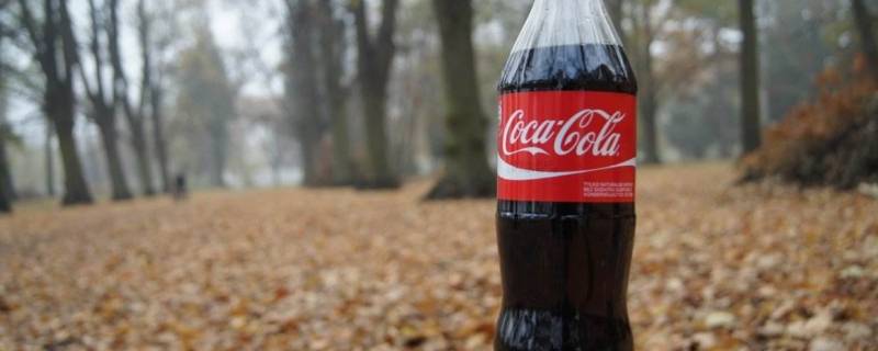 可乐的成分（可乐的成分和危害）