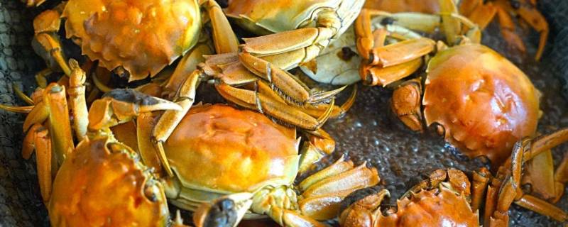 煮熟的螃蟹第二天怎么加热（煮熟的螃蟹怎么放第二天）