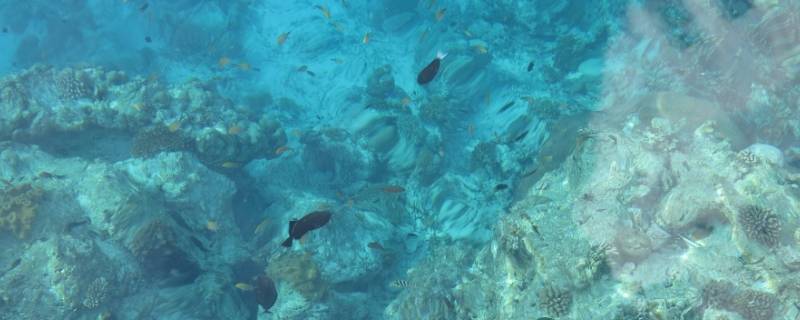 淡水是一种液体矿产是正确的吗 淡水是矿产资源吗