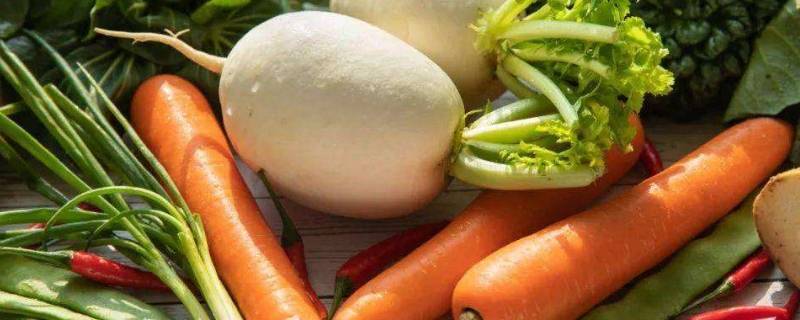 怎么储存萝卜（怎么储存萝卜缨）