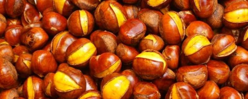 糖炒栗子可以微波炉加热吗（糖炒栗子能不能放微波炉加热）