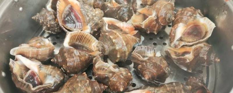 海螺煮几分钟 海螺煮几分钟好吃