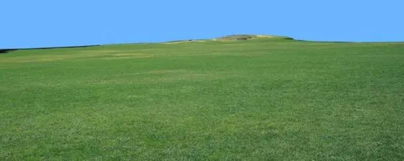 草地变颜色是因为什么 草地变色是因为什么?