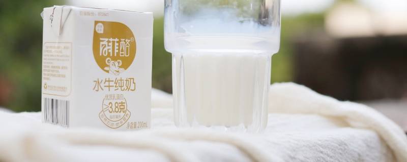百菲酪水牛奶为什么那么香 百菲酪水牛纯牛奶为什么这么香