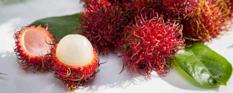 毛荔枝什么味道 毛荔枝口感