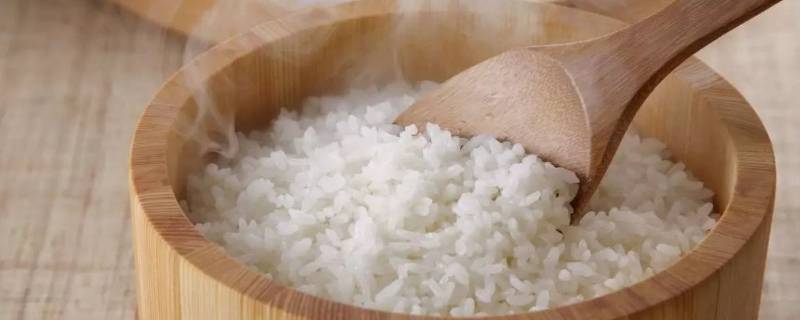 煮饭要放多少水 糯米煮饭要放多少水