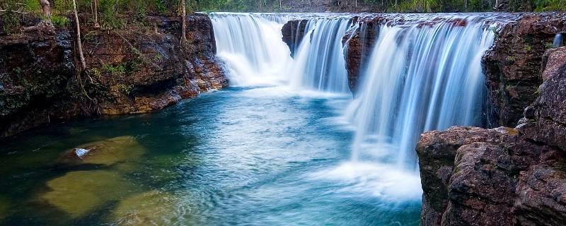 水有哪些作用 煮折耳根水有哪些作用