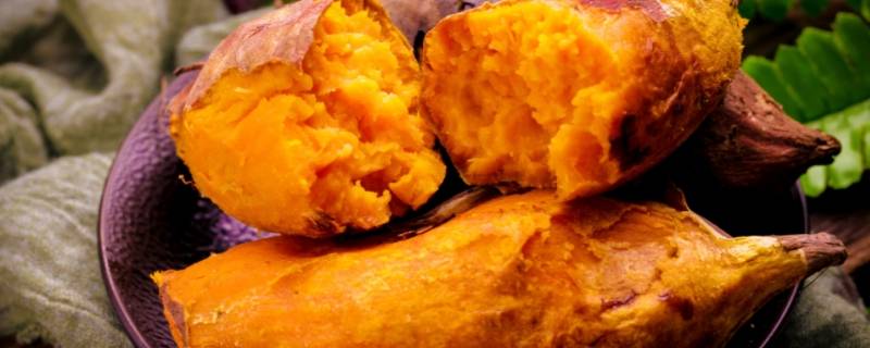 红薯可以做成哪些美食（红薯可以做成哪些美食图片）
