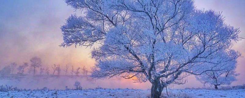 怎么形容12月份的季节（12月份描述季节的语句）