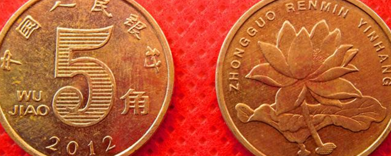 硬币上的花是什么花（人民币硬币上的花是什么花）
