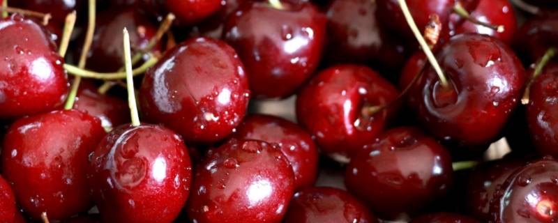 车厘子cat1是几个J（cat1是啥车厘子）