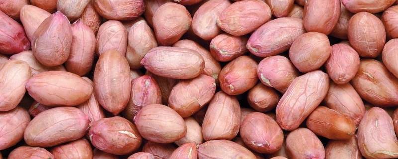 有渣食物有哪些 哪些食物是有渣食物