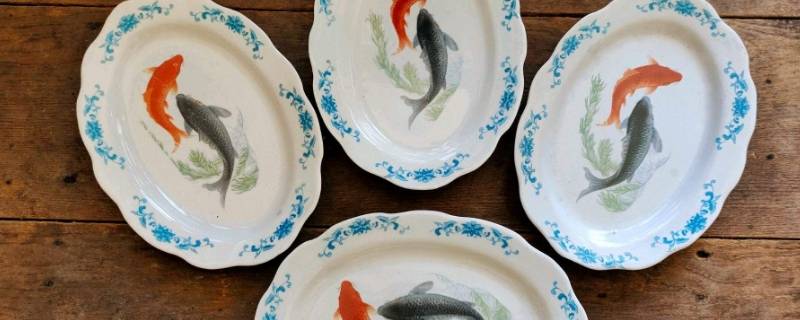 鱼盘子一般买几个（家用鱼盘一般买几个）