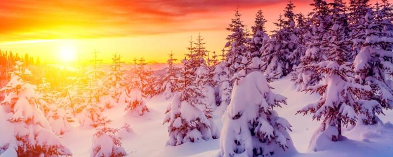 冬天一般几点天亮 冬天的时候天亮一般几点钟