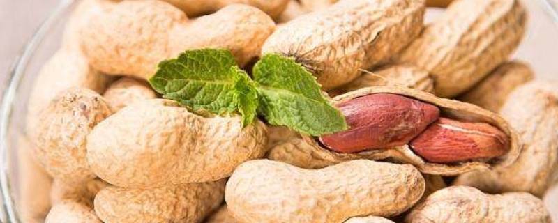 花生保质期多久 炒熟花生保质期多久