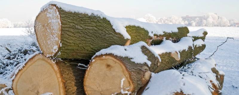 冬天室外的铁器和木材哪个温度高 冬天室外铁和木头哪个温度高
