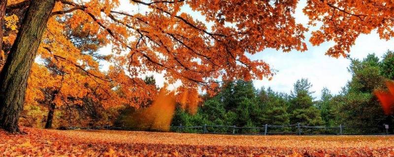 秋天的主题标语 秋天标语口号大全