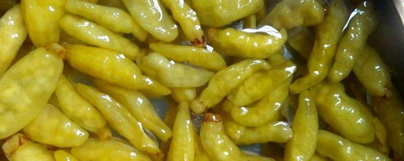 袋装泡椒里的水能要吗（泡椒袋子里的水能用吗?）