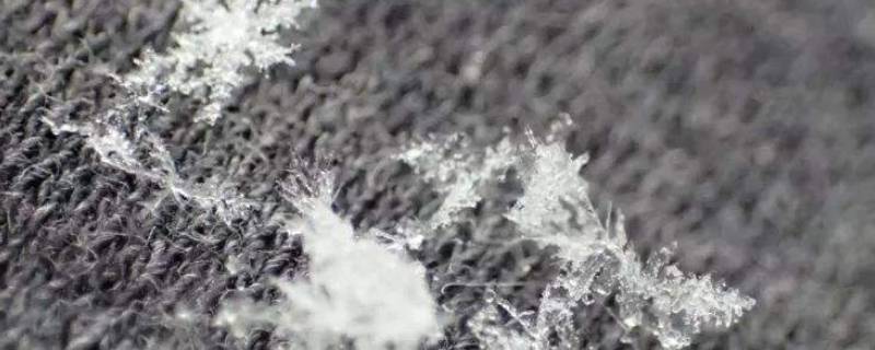 下雪之前下的小冰粒是什么 下雪之前的小颗粒是啥