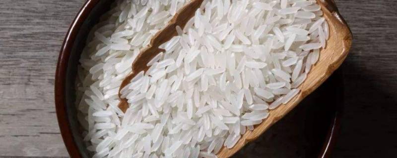 米怎样存放才能不生虫（米如何存放不会生虫）