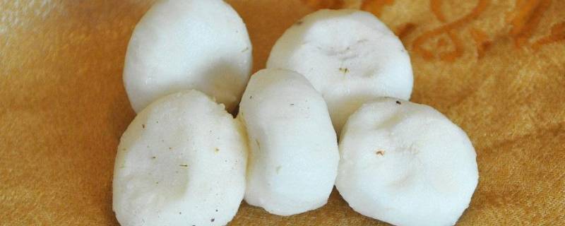 马蹄肉是啥（马蹄的肉在哪个位置）