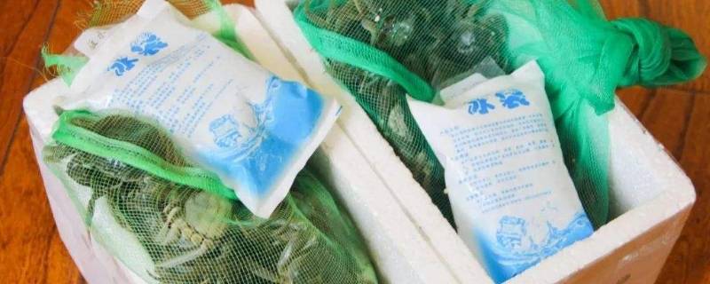 螃蟹放泡沫箱会不会闷死（海蟹放泡沫箱会不会闷死）
