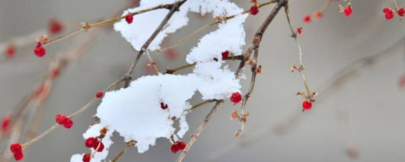 为什么要人工增雪（为什么要人工增雪?）