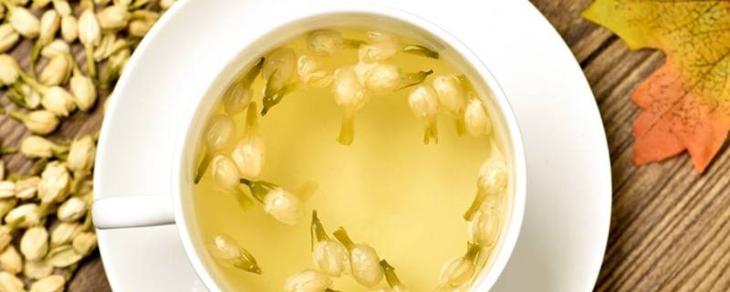茉莉花是凉性还是温性的（茉莉花是凉性还是温性的?）