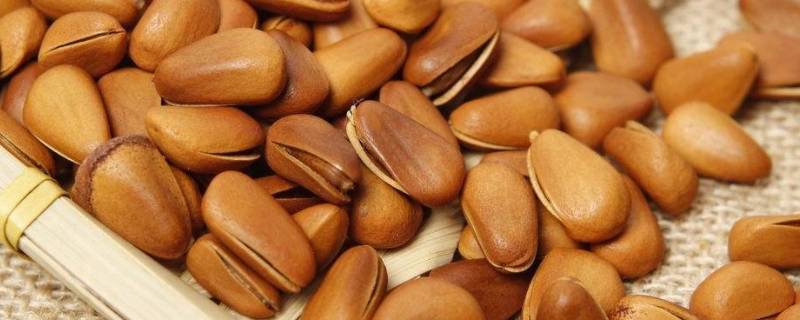 松子是怎么开口的 松子怎样开口松子