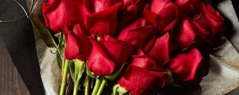 鲜花怎么保鲜 收到鲜花怎么保鲜
