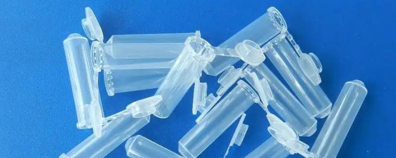 pp1是什么意思哦（pp11是什么意思）