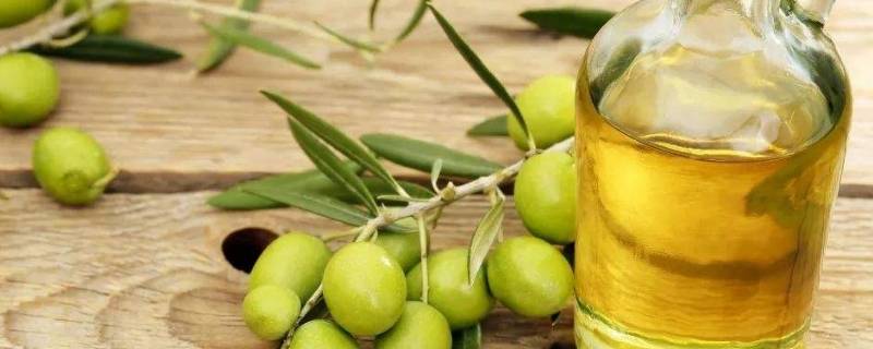 橄榄油可以煎牛排用吗（煎牛排只能用橄榄油吗）