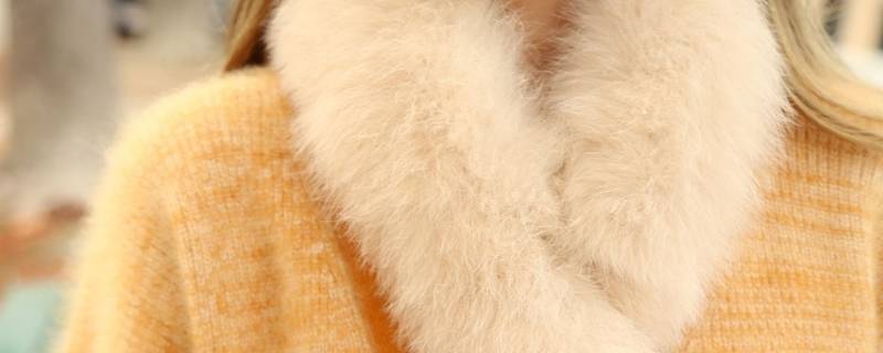 白狐狸毛领发黄洗白妙招（白毛领发黄洗白小窍门）