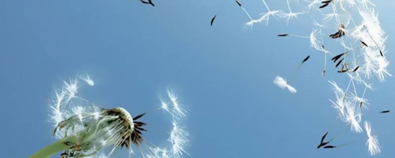 刮北风的原因是什么 经常刮北风是什么原因